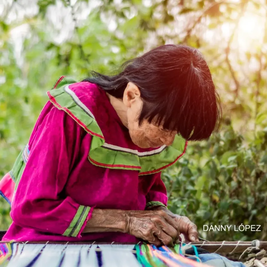 An elderly woman in a magenta blouse with green trim bends over her loom, her hands working brightly coloured threads, outdoors under trees